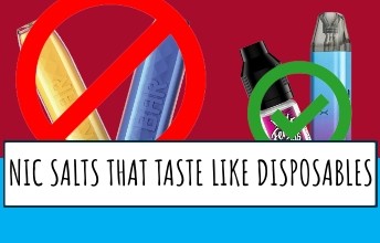 nic salts that taste like diposables