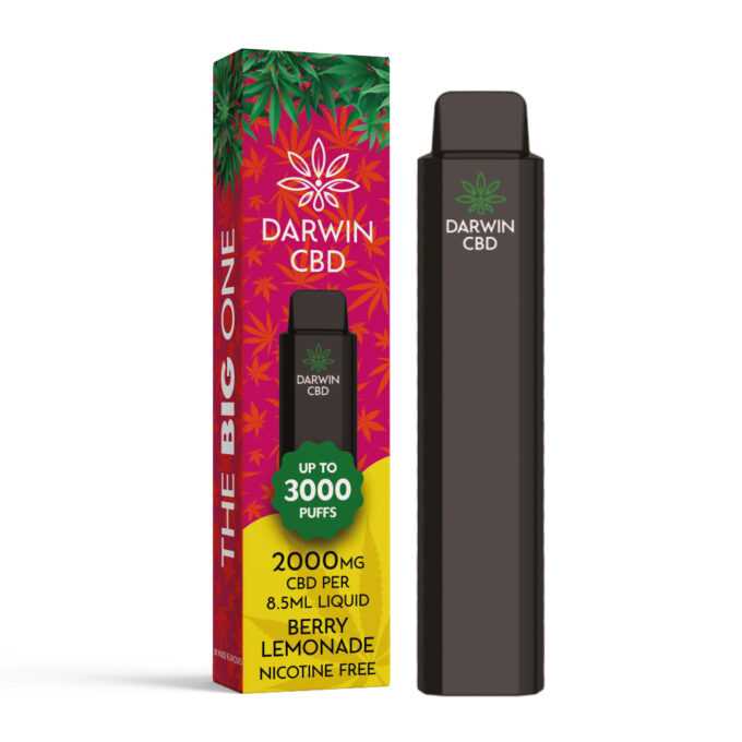 Darwin The Big One 2000mg CBD 3000 Puffs berry lemonade