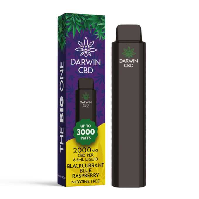 Darwin The Big One 2000mg CBD 3000 Puffs blackcurrant blue raspberry