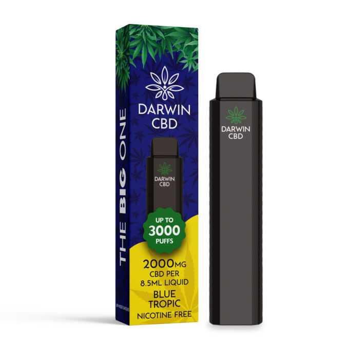 Darwin The Big One 2000mg CBD 3000 Puffs blue tropic