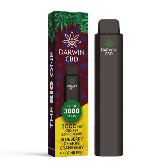 Darwin The Big One 2000mg CBD 3000 Puffs blueberry cherry cranberry