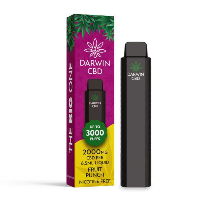 Darwin The Big One 2000mg CBD 3000 Puffs fruit punch