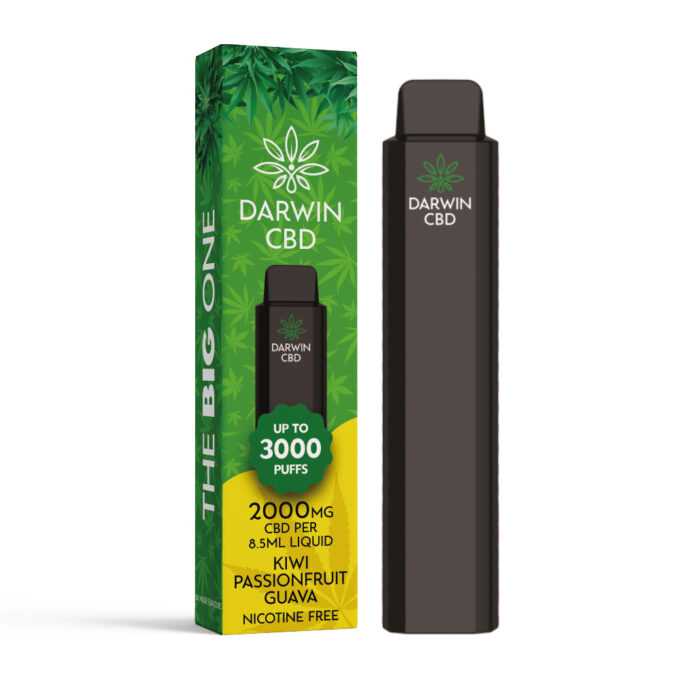 Darwin The Big One 2000mg CBD 3000 Puffs kiwi passionfruit guava