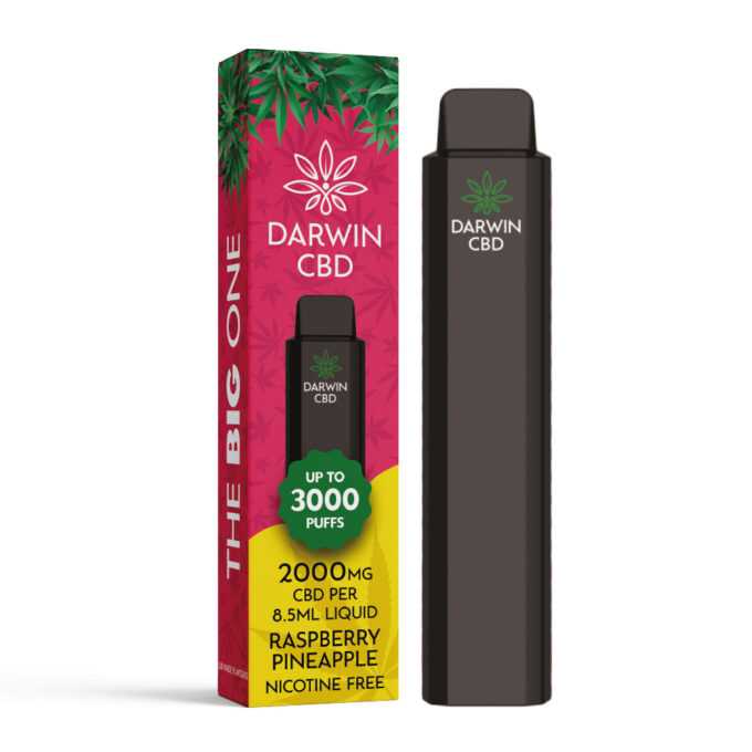 Darwin The Big One 2000mg CBD 3000 Puffs raspberry pineapple