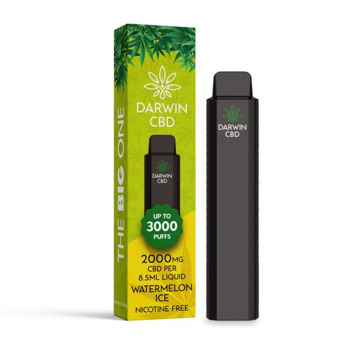 Darwin The Big One 2000mg CBD 3000 Puffs watermelon ice