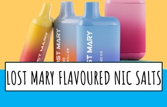 What nic salts taste like lost mary disposable vape