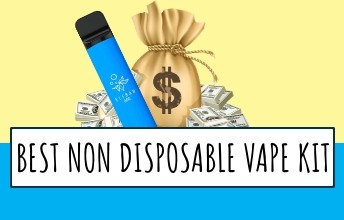 fruity pebbles disposable vape Beyond the Ban: Will the UK's Shift to Reusable Vapes Drive Sustainable  Harm Reduction? main image 1