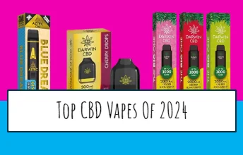 The Best CBD Vapes - The Top 5 In 2024