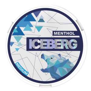 Iceberg Snus 20mg Nicotine Pouches - Menthol