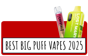 Best Big Puff disposable Vapes in 2025 Blog and review