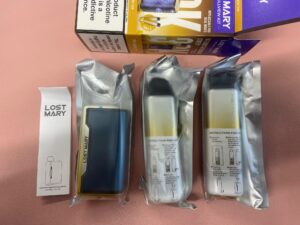 whats in the lost mary nera box