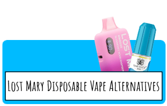 Lost Mary Disposable Vape Alternatives For After The Ban