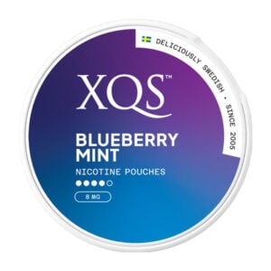 XQS Snus 8mg Nicotine Pouches - Blueberry Mint