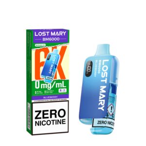 Lost Mary BM6000 Nicotine Free Kit - Blueberry