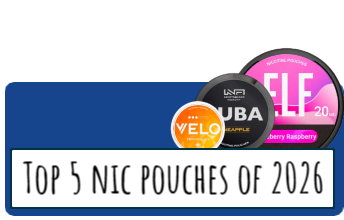 The 5 Best Nicotine Pouches of 2026
