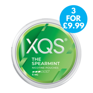 XQS 6mg Nicotine Pouches